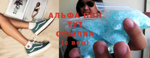 Альфа ПВП Новозыбков