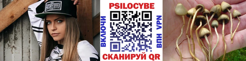 Псилоцибиновые грибы ЛСД  Елец 