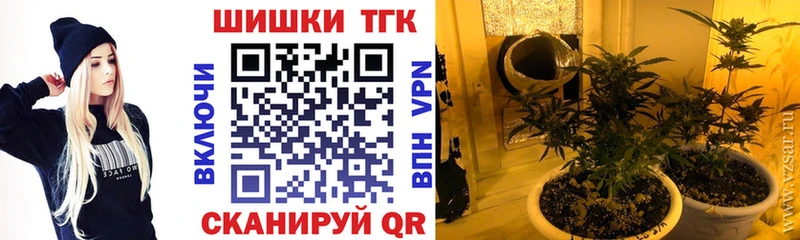 Шишки марихуана планчик  продажа наркотиков  Елец 